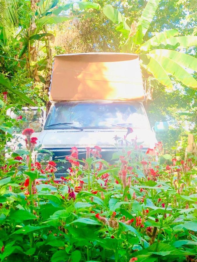 Rainbow Caravan Hostel Las Pilas Esterno foto